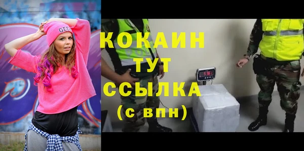 PSILOCYBIN Корсаков