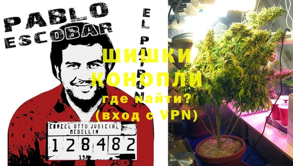 PSILOCYBIN Корсаков