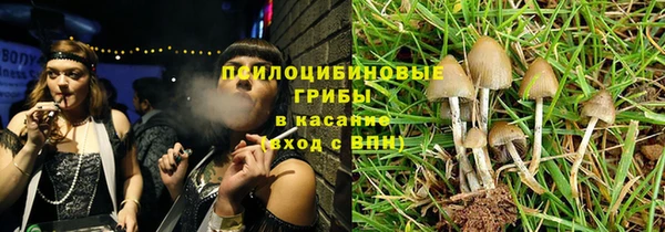 PSILOCYBIN Корсаков
