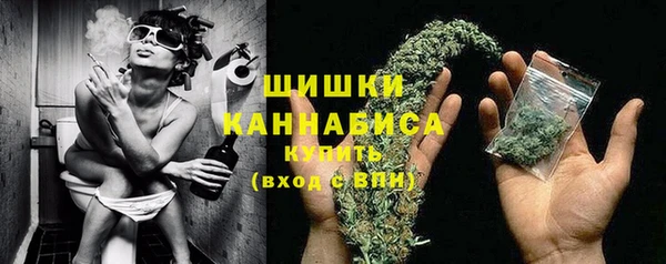 дурь Коряжма