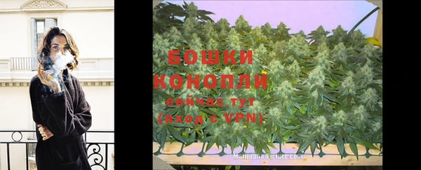 PSILOCYBIN Корсаков